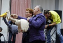 Наталья Кузьмина и Сергей Ветошкин - два веселых гуся